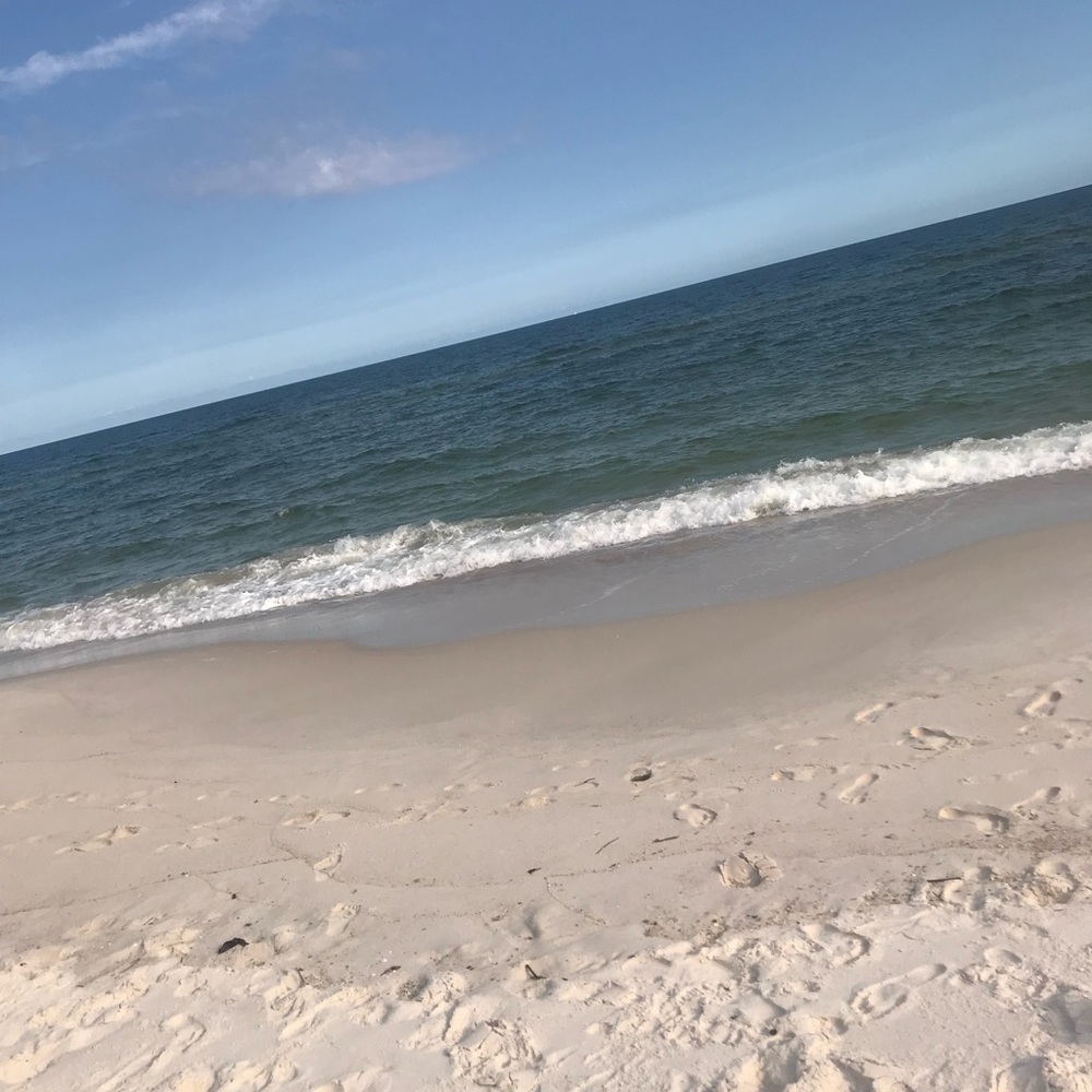 Meet your Posher, Brayden